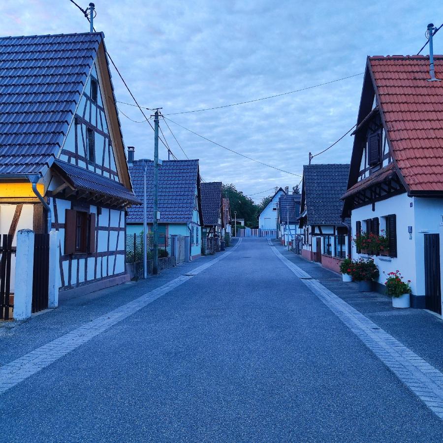 Petite Maison Alsacienne Dans Un Village Au Calme Niederroedern Exterior foto